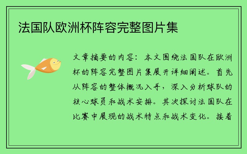 法国队欧洲杯阵容完整图片集