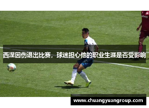 西涅因伤退出比赛，球迷担心他的职业生涯是否受影响